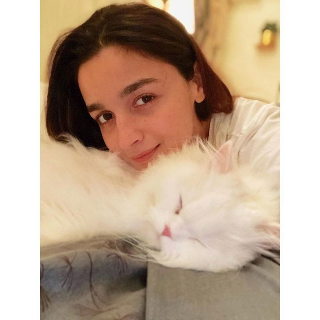 Alia Bhatt Latest Instagram Pics
